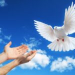 Қазақстан – бейбітшілік пен келісімнің шынайы үлгісін көрсетіп отырған мемлекет