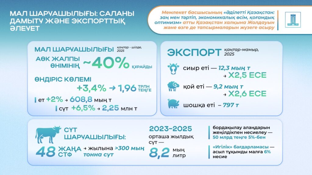 WhatsApp Image 2025-09-03 at 09.59.23