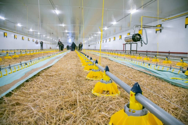 WhatsApp Image 2025-10-22 at 10.53.19