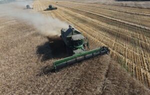 WhatsApp Image 2025-10-22 at 10.53.20