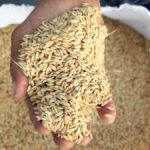 WhatsApp Image 2025-11-04 at 11.01.27