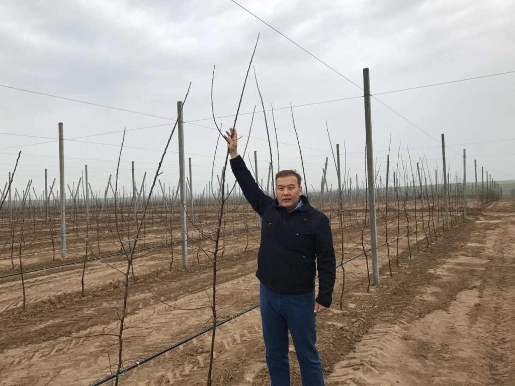 WhatsApp Image 2025-11-05 at 17.41.20