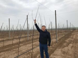 WhatsApp Image 2025-11-05 at 17.41.20