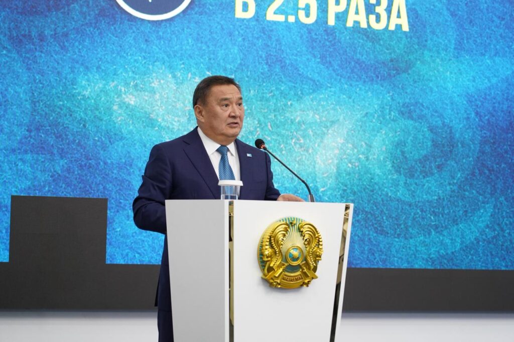 WhatsApp Image 2025-11-13 at 16.17.00