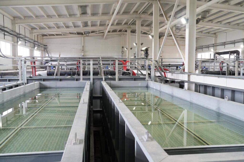 WhatsApp Image 2025-11-13 at 16.18.15