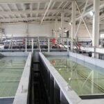 WhatsApp Image 2025-11-13 at 16.18.15