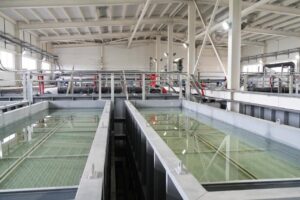 WhatsApp Image 2025-11-13 at 16.18.15