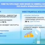 WhatsApp Image 2025-12-15 at 14.35.26 (2)