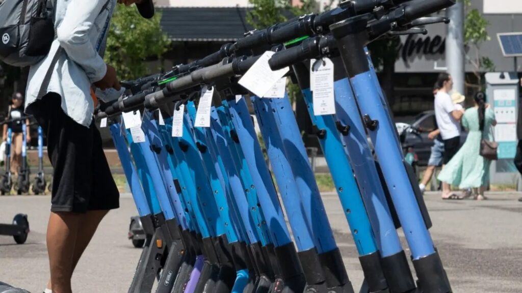 WhatsApp Image 2025-12-18 at 14.50.59