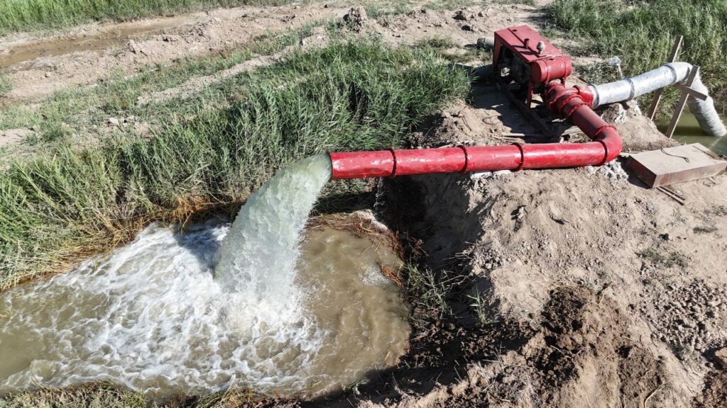 WhatsApp Image 2025-12-19 at 15.25.20