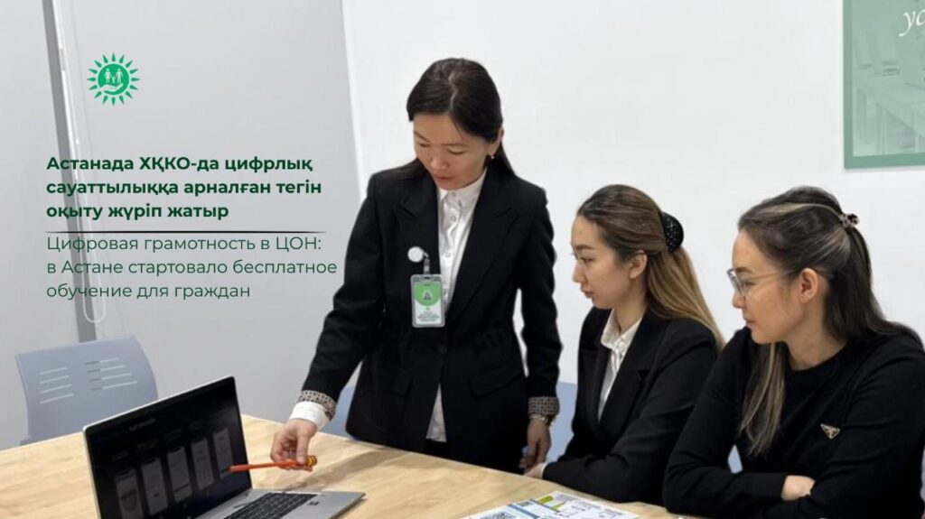 WhatsApp Image 2026-02-12 at 15.26.43