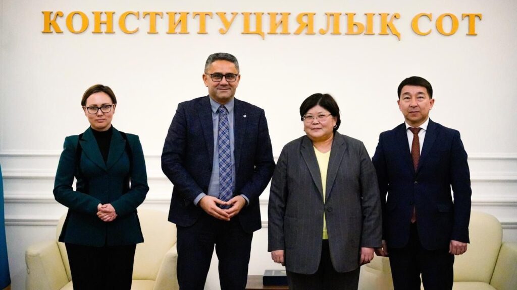 WhatsApp Image 2026-02-19 at 13.56.46