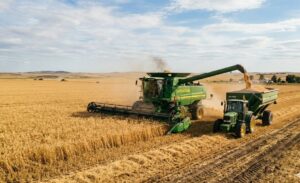 WhatsApp Image 2026-02-27 at 16.17.42