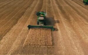 WhatsApp Image 2026-03-12 at 09.14.14