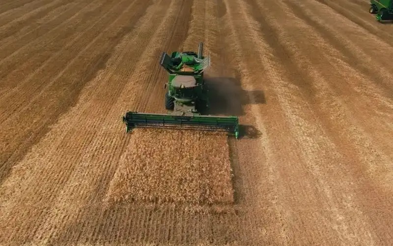 WhatsApp Image 2026-03-12 at 09.14.14