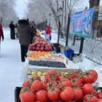 WhatsApp Image 2026-03-15 at 09.37.37