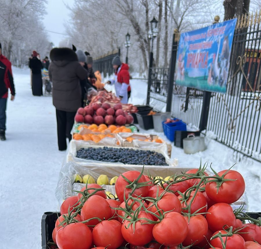 WhatsApp Image 2026-03-15 at 09.37.37