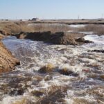 WhatsApp Image 2026-03-31 at 17.43.45