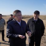 WhatsApp Image 2026-03-31 at 17.43.46