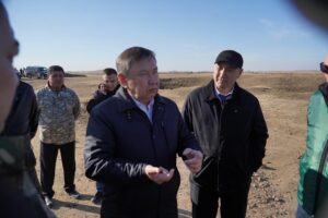 WhatsApp Image 2026-03-31 at 17.43.46