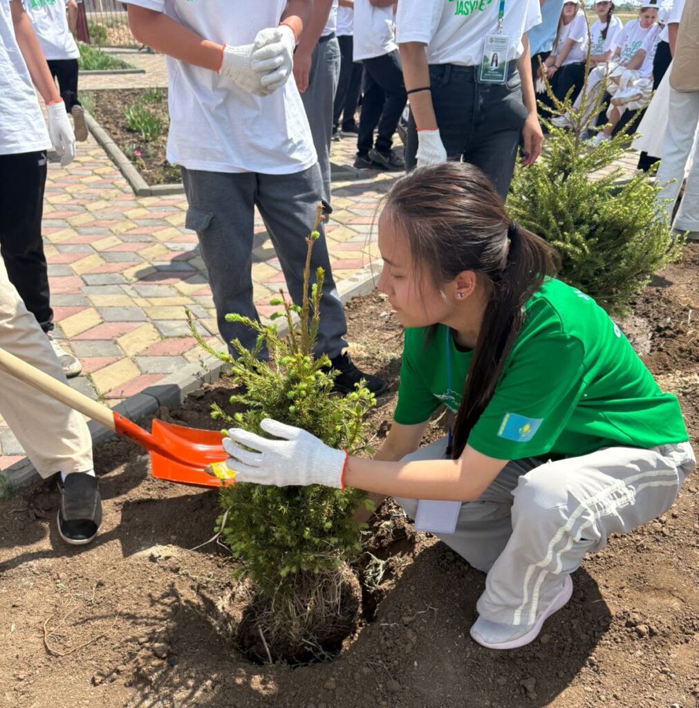 WhatsApp Image 2026-06-11 at 12.30.56